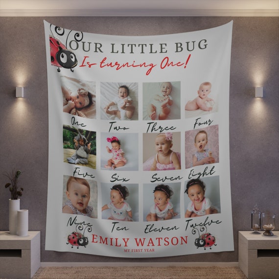 Ladybug First Birthday Photo Sign Banner, 1st Birthday Photo Poster, Baby's First Year Backdrop, Lady Bug Birthday Signs, #LDYB
