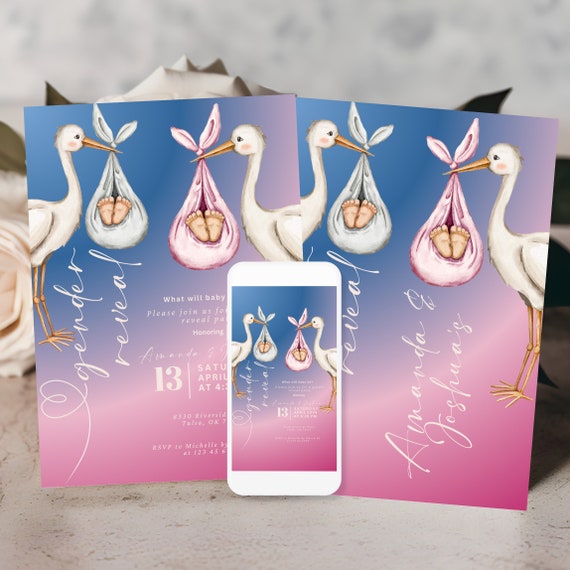 Editable Pink and Blue Stork Gender Reveal Invitation Template - Printable Baby Shower Party Invite, DIY Gender Reveal, Baby Shower Decor