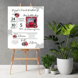 May include: A white and black polka dot background with a red ladybug theme. The text reads "Avery's First Birthday" and "Our little bug". The poster includes a photo of a baby girl in a red dress, and lists the baby's age, weight, and number of teeth. The text also includes a list of things the baby loves and can do.