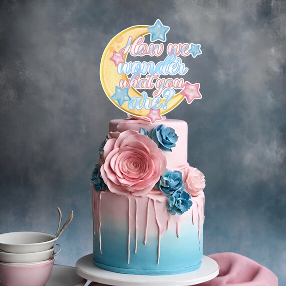 Custom Handmade Gender Reveal Cake Topper | 3D Personalized Decor for Birthday Parties,Pink Blue How We Wonder What You Are' Keepsake