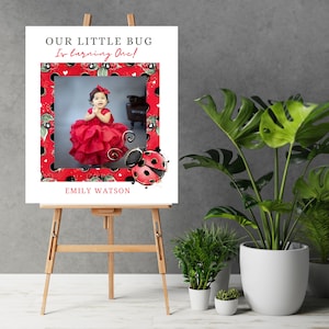 Ladybug Photo Birthday Welcome Sign, Ladybug Birthday Banner, Lady Bug Picture Backdrop, Our Little Bug Tapestry, Instant Download #LDYB