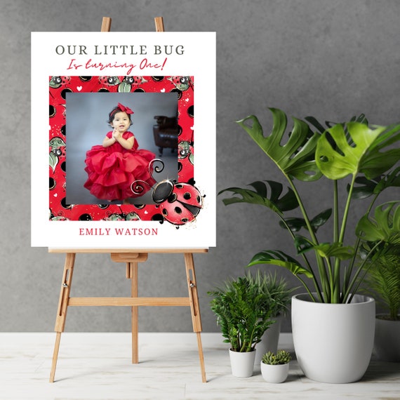 Ladybug Photo Birthday Welcome Sign, Ladybug Birthday Banner, Lady Bug Picture Backdrop, Our Little Bug Tapestry, Instant Download #LDYB