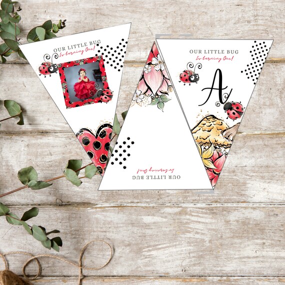 Ladybug Photo Birthday Triangle Banner, Lady bug Birthday Bunting Banners, Our Little Bug Printable Banner, Instant Download, #LDYB