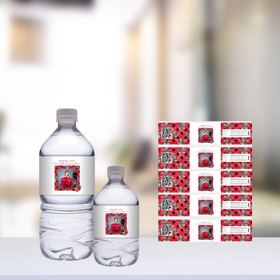 Ladybug Photo Birthday Water Bottle Labels, Lady bug Birthday Water Bottle Label, Our Little Bug Printable Label, Print and Digital, #LDYB