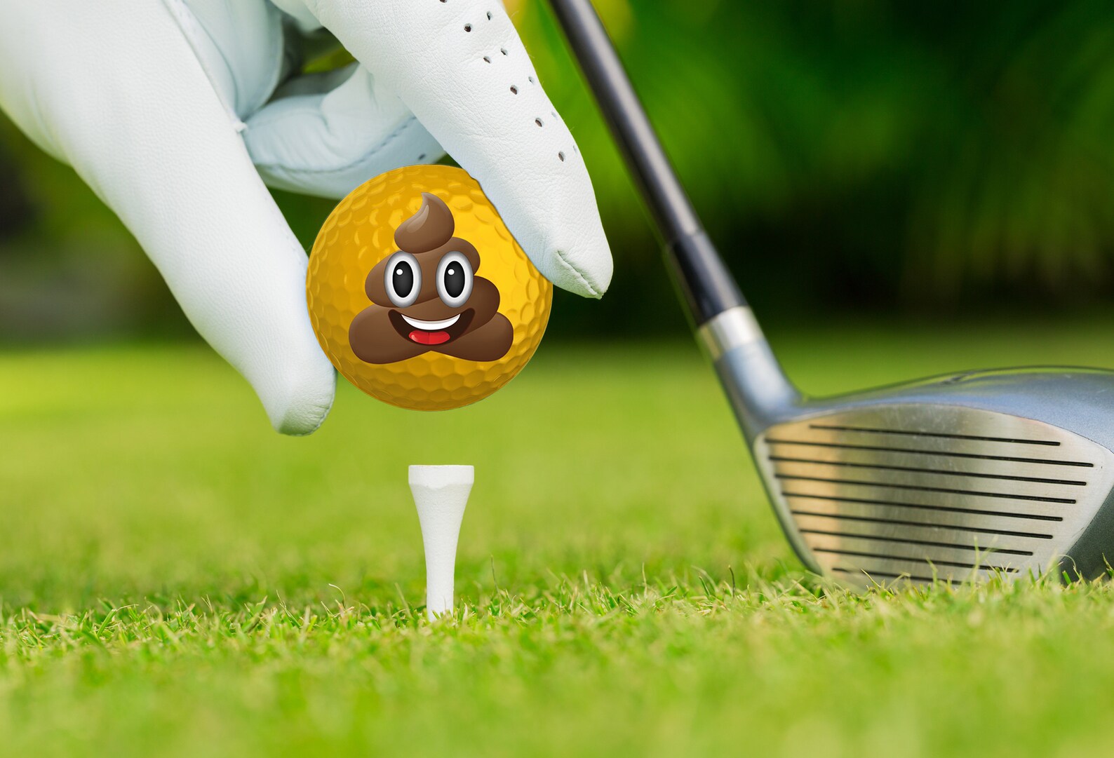 Ojiemoji Premium Emoji Golf Balls, Unique Professional Practice Golf Balls, 12pack Emoji
