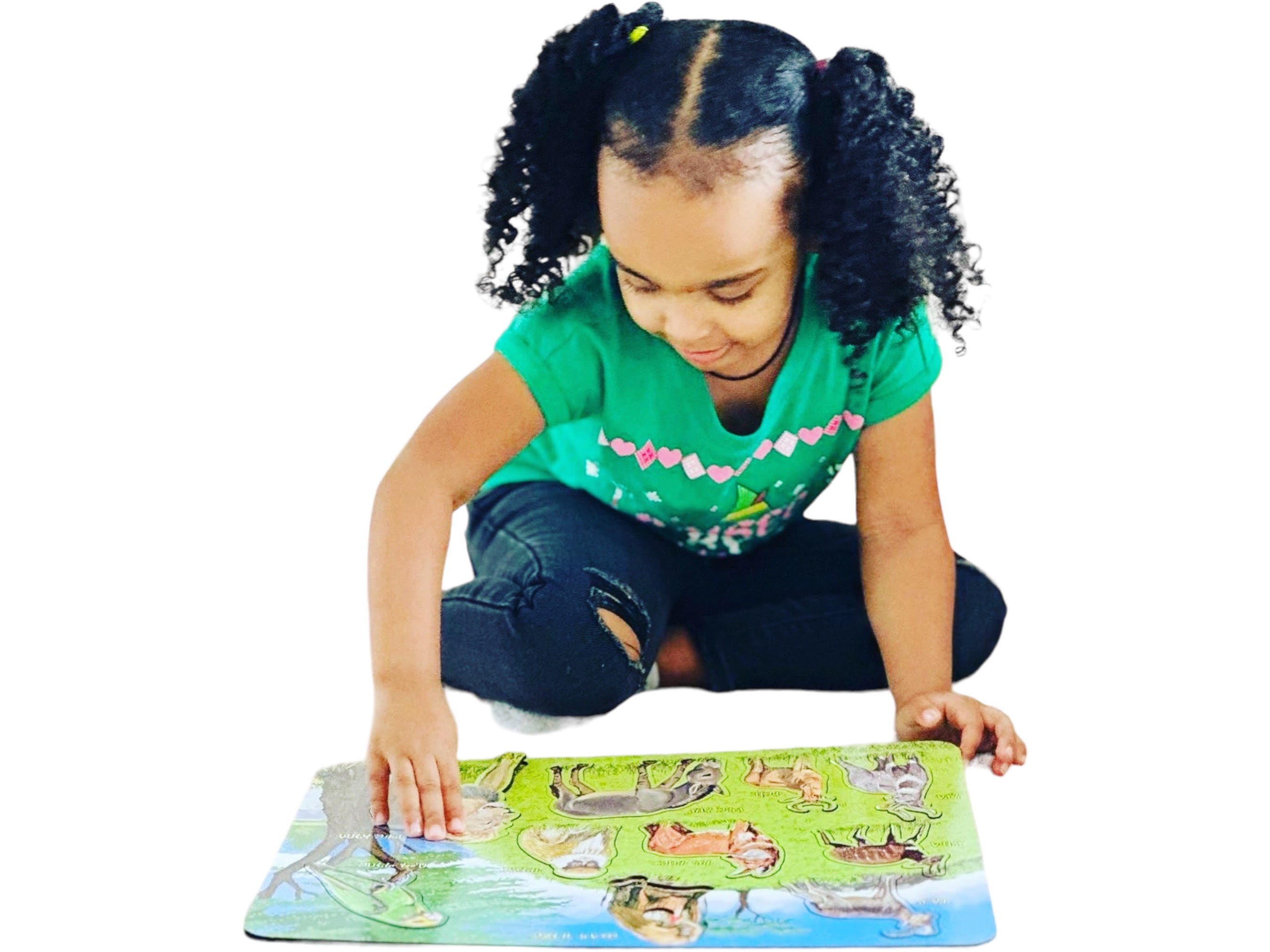 Ten Animals Only Found in Ethiopia Wooden Jigsaw Puzzle - Etsy Ten Animals Only Found in Ethiopia Wooden Jigsaw Puzzle - Etsy