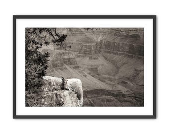 Framed Grand Canyon Sepia Photography | Bighorn Sheep Wildlife Print, Southwestern Decor