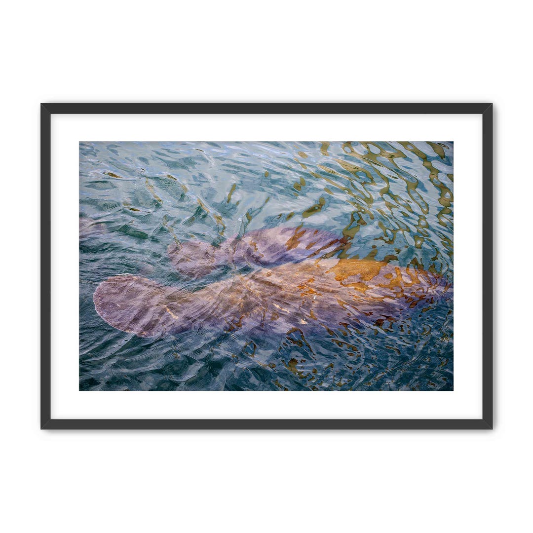 Mother and Calf Manatee Print, Coastal Photography, Abstract Artwork ...