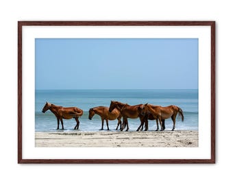 Framed Wild Horses Wall Art, Outer Banks Photography, North Carolina Print, Beach artwork, Coastal Decor