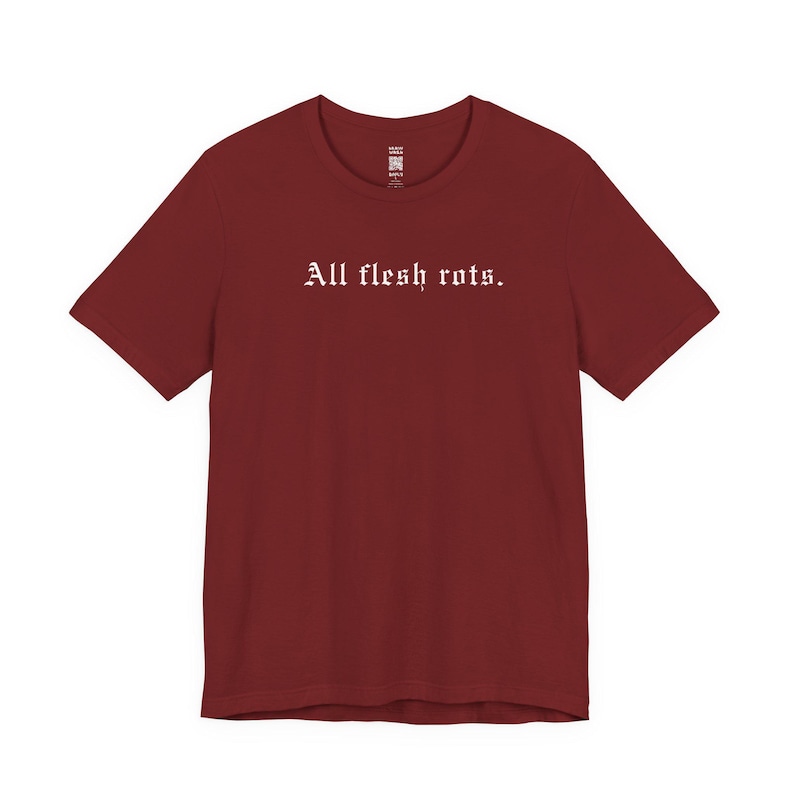 All Flesh Rots T-Shirt, Dark Horror T-Shirt für Männer Frauen, Okkultes Witchy Geschenk, Trad Goth Tee, Cyber Grunge Alt Gothic Kleidung, nihilistischer Emo Bild 8