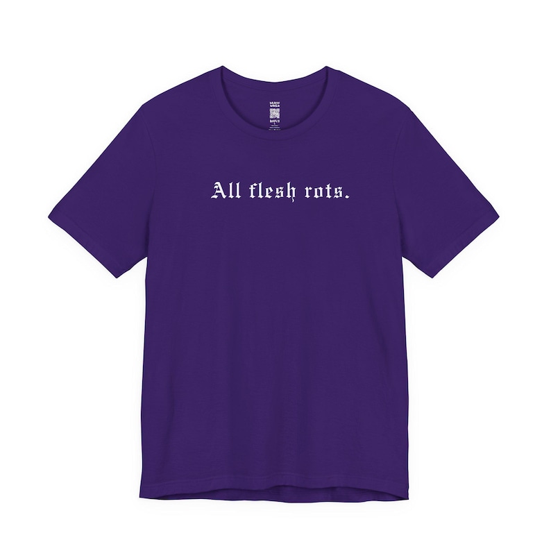 All Flesh Rots T-Shirt, Dark Horror T-Shirt für Männer Frauen, Okkultes Witchy Geschenk, Trad Goth Tee, Cyber Grunge Alt Gothic Kleidung, nihilistischer Emo Bild 10