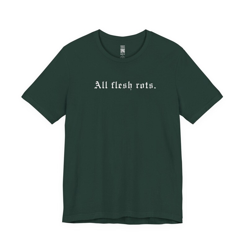 All Flesh Rots T-Shirt, Dark Horror T-Shirt für Männer Frauen, Okkultes Witchy Geschenk, Trad Goth Tee, Cyber Grunge Alt Gothic Kleidung, nihilistischer Emo Bild 7