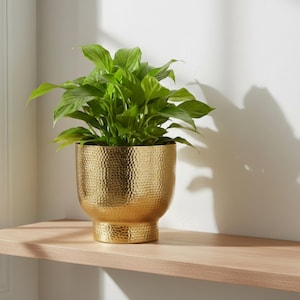 May include: A vibrant green leafy plant potted in a metallic gold-toned planter. The planter features a distinct hammered texture across its rounded body and sits on a pedestal base, creating a reflective surface that catches the light.