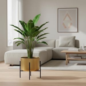 May include: A potted plant with large green leaves in a gold-colored metal planter. The planter is supported by a black metal stand. The plant is indoors, with a neutral-toned sofa and artwork in the background.