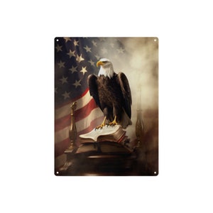 Bald Eagle American Flag Metal Sign Patriotic Home Decor Wall Art Indoor / Outdoor Sign Gift