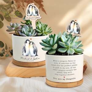 May include: Two white ceramic pots with succulents, each featuring a penguin illustration and the text "Michael & Sophia 09.25.2025". One pot has the text "You are my Penguin". The pots sit on wooden bases.