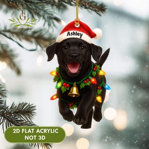 May include: A black Labrador puppy Christmas ornament wearing a Santa hat with the name "Ashley" and a garland of lights and berries. The ornament is 2D flat acrylic, not 3D.