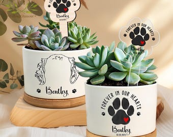 May include: Two white ceramic planters with bamboo bases, each with a succulent plant and a wooden stake. The stakes have a black paw print with a red heart and the text "Forever in our hearts" with the name "Bentley" and a date.