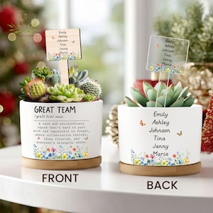 Team Gift, Great Team Plant Pot Gift, Coworker Gift, Colleague Work Gifts, Best Team Ever, Gifts for Employee Coworker Gifts for Christmas