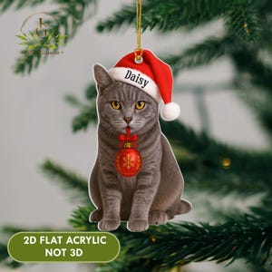 Personalized Grey Cat Acrylic Christmas Ornament, Grey Cat Ornament, Cat Christmas Ornament, Cat Lover Gift, Gift For Pet Lovers, Grey Cat