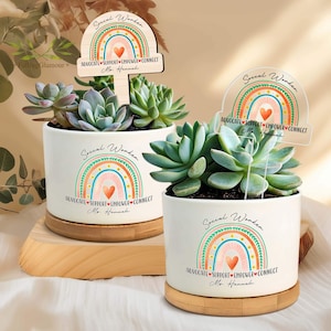 May include: Two white ceramic succulent pots with a rainbow design and the text "Social Worker Advocate Support Empower Connect Mo Hannah". The pots are on a wooden base.
