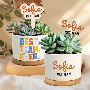 Best Team Ever, Coworker Appreciation Plant Pot, Team Gifts, Team Thank You, Employee Appreciation, Coworker, Boss Gifts, A Truly Great Team