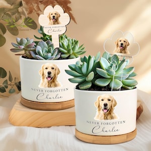 May include: Two white ceramic planters with succulents, each featuring a Golden Retriever image and the text "NEVER FORGOTTEN Charlie." One planter has a wooden dog paw-shaped stake. The planters sit on wooden bases.