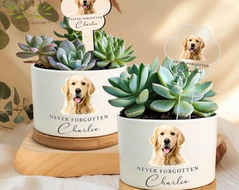May include: Two white ceramic planters with succulents, each featuring a Golden Retriever image and the text "NEVER FORGOTTEN Charlie." One planter has a wooden dog paw-shaped stake. The planters sit on wooden bases.