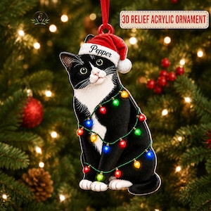 May include: A 3D relief acrylic ornament shaped like a black and white tuxedo cat wearing a red Santa hat with the name Pepper printed on the brim. The cat is wrapped in a string of colorful Christmas lights and hangs from a red ribbon.