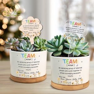 Custom Team Appreciation & Thank You Gift, Team Plant Pot, Team Gift, Employee Appreciation Gift, Staff Gift, Corporate Gifts for Employees