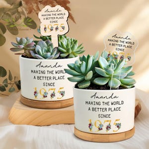 May include: Two white ceramic plant pots with succulents, each on a wooden base. The pots have the text "Amanda MAKING THE WORLD A BETTER PLACE SINCE 1975" in black and gold. One pot has a wooden sign that reads "Amanda MAKING THE WORLD A BETTER PLACE SINCE 1975".
