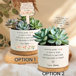 A Truly Great Team, Coworker Appreciation Plant Pot, Team Gifts, Team Thank You, Employee Appreciation, Coworker, Boss Gifts, Farewell Gift