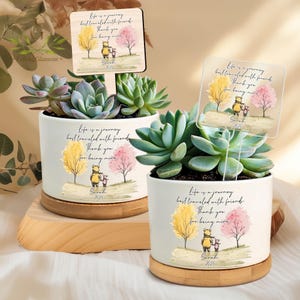 May include: Two white ceramic succulent planters with wooden bases. Each planter features a watercolour illustration of a bear and a smaller character under a tree, with text that reads "Life is a journey best travelled with friends. Thank you for being mine. Sarah 2025."