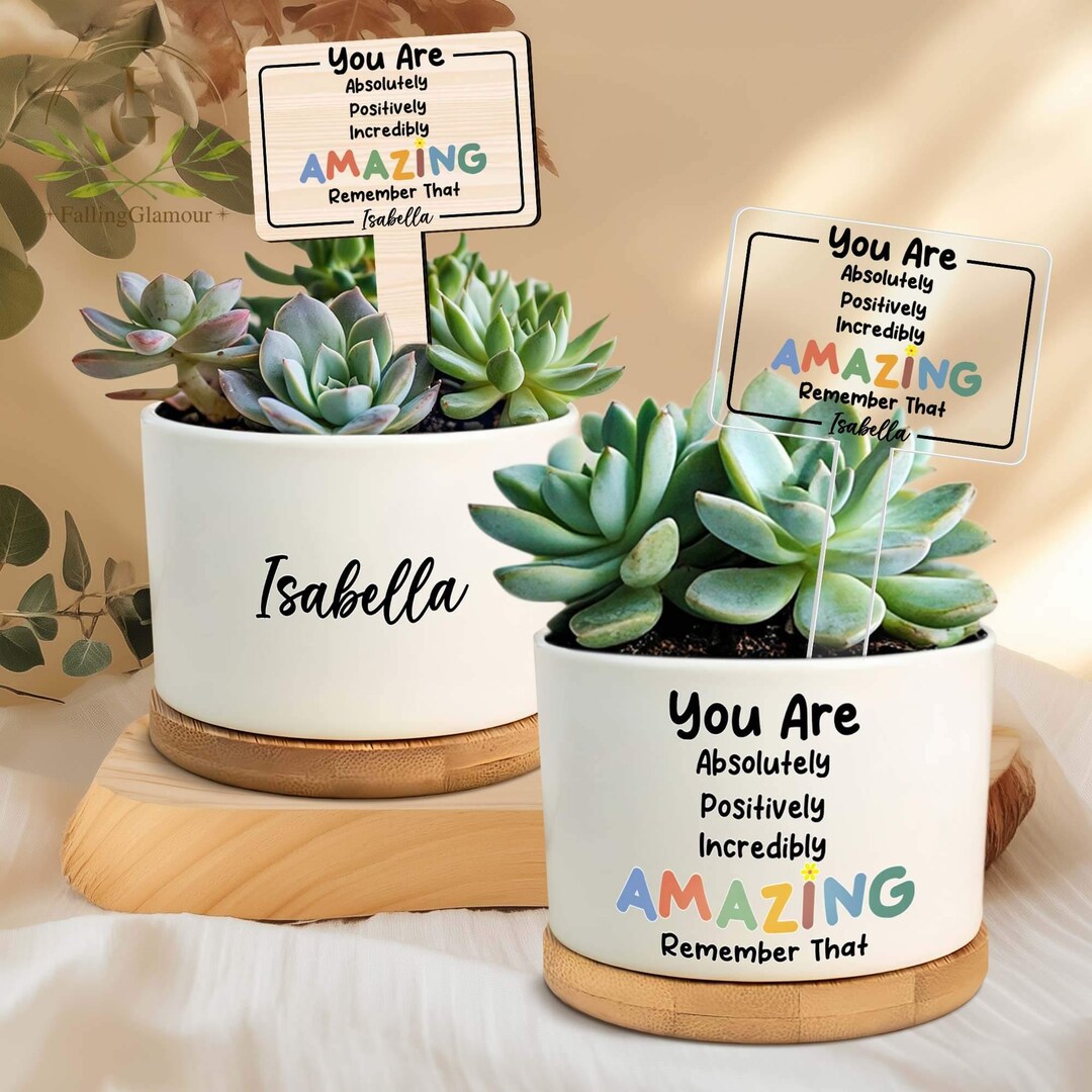 You Are Incredibly Appreciated Plant Pot, Affirmations Sign, in Case No ...