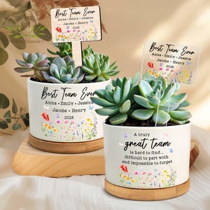 Team Appreciation Plant Pot, Best Team Ever Gift, Team Thank You Gift, Appreciation Gift, Coworker Gift, Custom Team Plant Pot, Office Gift