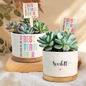 Best Team Ever Plant Pot, Teammate Gifts, Custom Team Name Succulent Pot, Work Team Coworkers, Team Member, Company Gifts, Office Desk Gift