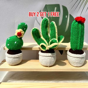 BUY 2 GET 1 FREE Crochet Cactus Set, Amigurumi Cactus Decor, Crochet Handmade Succulent Plush, Crochet Potted Plant, Crochet Stuffed Cactus