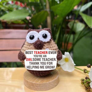 Thank You Teacher Appreciation Gifts for Teacher Coworker Mentor,Positive Crochet Owl Birthday,Gift for Teachers, Funny Positive Crochet Owl