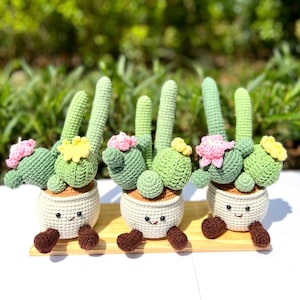 DOUBLE THE SIZE Crochet Cactus Plant in Pot, Handmade Crochet Cactus, No-Water Houseplant Cute Desk Decor, Gift for Plant Lovers Cactus