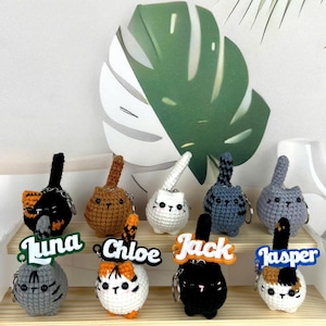 Può includere: Una collezione di portachiavi a forma di gatto fatti a mano all'uncinetto in vari colori, tra cui nero, marrone, bianco, grigio e blu. Ogni portachiavi presenta un design unico ed è etichettato con un nome. I portachiavi sono esposti su una mensola di legno.