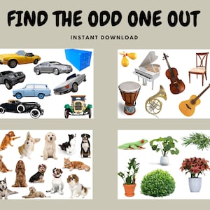 Peut inclure: Jeu de trouver l'intrus avec quatre ensembles d'images. Le premier ensemble présente diverses voitures, le deuxième ensemble présente des instruments de musique et une chaise, le troisième ensemble présente des chiens et un chat, et le quatrième ensemble présente des plantes et une grenouille.