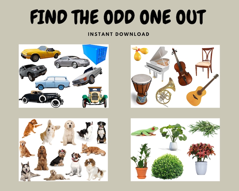 Dementia Find the Odd One Out, Printable Dementia Activity, Brain Games, Games for Seniors