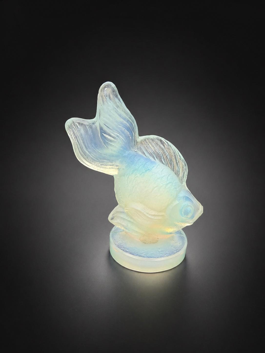 Sabino Fish - Etsy