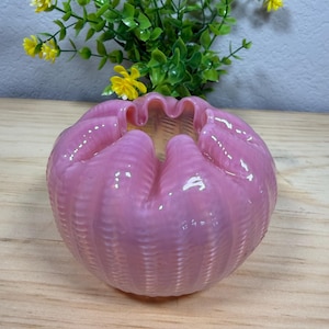 Fenton Rose Magnolia - Etsy