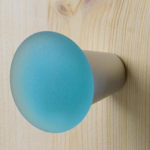 Könnte beinhalten: Ein mattierter türkisfarbener Glasknopf mit einem silbernen Metallfuß, der an einer Holzoberfläche befestigt ist.