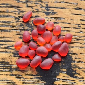 Könnte beinhalten: Eine Sammlung roter Glas-Seepärchen auf einer Holzoberfläche. Die Perlen sind in verschiedenen Größen und Formen, mit einem durchscheinenden, leicht trüben Aussehen.
