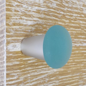 Peut inclure: Un bouton de porte en argent et bleu sarcelle avec un dessus rond en bleu sarcelle légèrement surélevé.