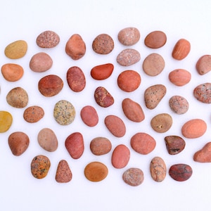 Könnte beinhalten: Eine Sammlung glatter, roter und brauner Steine, die in einem Halbkreis auf einem weißen Hintergrund angeordnet sind. Die Steine sind in verschiedenen Größen und Formen.