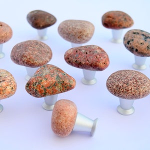 May include: A collection of 12 unique, natural stone cabinet knobs. Each knob is a different shape and size, with a variety of red, brown, and white tones. The knobs are attached to silver metal bases.