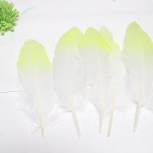 DIY handmade creative feather products, yellow+white natural feathers, gradient colored feathers, various feathers supply wholesale 10pcs